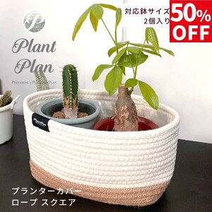 y50OFFzPlant Plan vgv v^[Jo[ [v XNGA AؔJo[ 3 4 2 Ntgy[p[ mg[ v^[ ϗtA Jo[ Jo[ k X^CbV