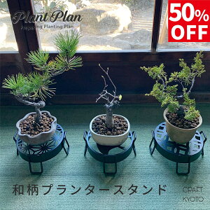 y50%OFFzPlant Plan a v^[X^h STCY ̗t 璹  ~͑ g˖l ~j~ ~̓X^h vgv     15cm K[fjO ԑ u |  