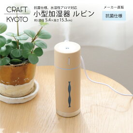 小型加湿器 ルビン 加湿器 抗菌仕様 水溶性アロマオイル対応 アロマウォーター対応 USB-C USB給電 LED メーカー直販 東洋ケース ミニ加湿器 卓上加湿器 卓上 オフィス かわいい おしゃれ オシャレ シンプル 小型 usb 車 車内 ギフト rubin