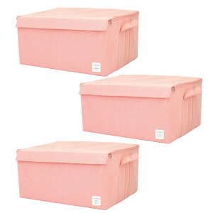 y10OFFzXgAi` {bNXLLTCY F3Zbg 53 s43 27cm {bNX P[X [ ߗގ[ ܏  bN N[[bg q ߑ V Ԏ[ z 