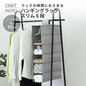 ストレリアカチオン2 ハンギングラック スリム 6段 グレー クローゼット 吊り下げラック 吊り下げ収納 衣類 洋服 小物 カバン 収納 収納ホルダー 吊り下げ ラック 衣類収納 省スペース おし