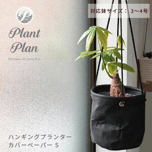 Plant Plan vgv nMOv^[Jo[ S y[p[ AؔJo[ 3 4 Ntgy[p[ mg[ y v^[ ϗtA Jo[ Jo[ k X^CbV 