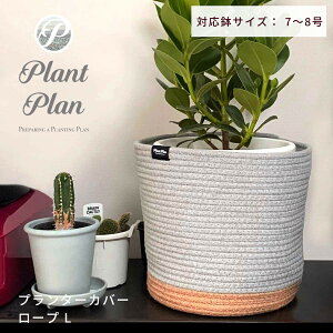 Plant Plan vgv v^[Jo[ [v L AؔJo[ 7 8 Rbg[v mg[  [v v^[ ϗtA Jo[ Jo[ k X^CbV  tFC