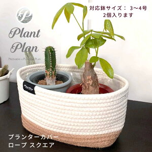 Plant Plan vgv v^[Jo[ [v XNGA AؔJo[ 3 4 2 Ntgy[p[ mg[ v^[ ϗtA Jo[ Jo[ k X^CbV  