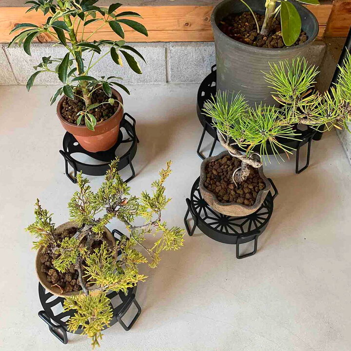 楽天市場】Plant Plan 和柄 プランタースタンド Mサイズ 麻の葉 千鳥 