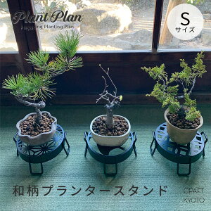 Plant Plan a v^[X^h STCY ̗t 璹  ~͑ g˖l ~j~ ~̓X^h vgv     15cm K[fjO ԑ u |   X