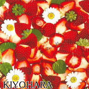 C@000@AMF-01@IbNXn@@(50cmȏ10cmPʐ؂蔄)