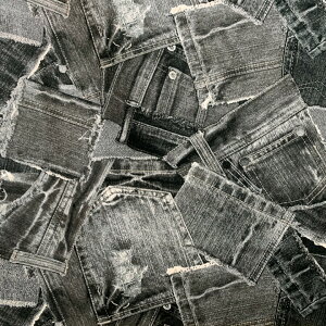 CuL@fj|PbgRNV@CubNn@N-99101-1@cCn@(200)@(50cmȏ10cmPʐ؂蔄)@m݌Ɍn