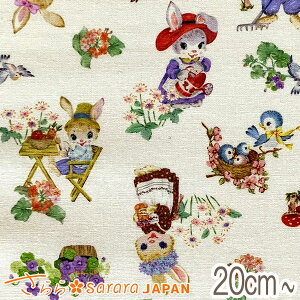 @gAj}̕炵@AN[n@10cmPʁ@؂蔄@511264@V[`On i271j@[݌Ɍ]