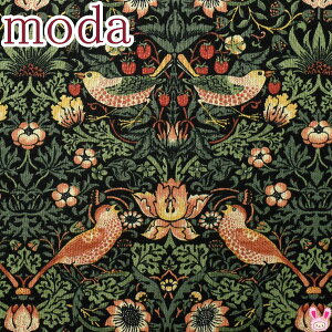 BEST OF MORRIS @C`SD_@17n@10cmPʁ@؂蔄@Moda@_@33490-17@V[`On@(402)@(20cmȏ)