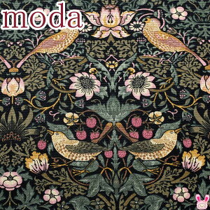 BEST OF MORRIS @C`SD_@11Tn@10cmPʁ@؂蔄@Moda@_@8176-11T@IbNXn@(402)@m݌Ɍn