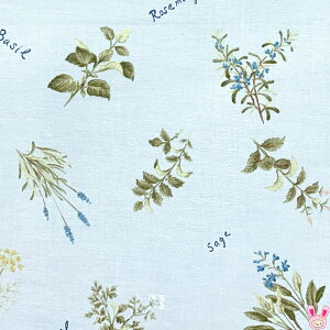 YUWAL֏X@n[uƉԁ@DCgu[n@V[eBOn@829667@i88j@(50cmȏ10cmPʐ؂蔄)@m݌Ɍn