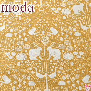 Moda@Midnight In The Garden@̃K[fjO@12@10cmPʁ@؂蔄@_@43122@V[`On@(230)(50cmȏ)@m݌Ɍn
