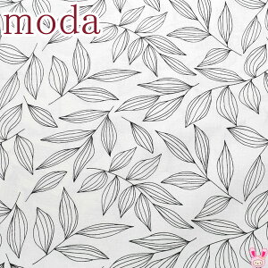 Moda@CREATE@̗t@11zCgn@10cmPʁ@؂蔄@_@11522-11@V[`On@(401)@ (50cmȏ)@m݌Ɍn