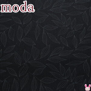 Moda@CREATE@̗t@25ubNn@_@11522-25@V[`On@(402)@(50cmȏ10cmPʐ؂蔄)@m݌Ɍn