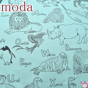 Moda@ABC XYZ@pƃAj}@13u[O[n@_@20812-13@V[`On@(254)@(50cmȏ10cmPʐ؂蔄)@m݌Ɍn