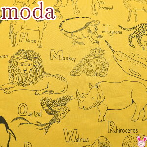 Moda@ABC XYZ@pƃAj}@14CG[n@_@20812-14@V[`On@(231)@(50cmȏ10cmPʐ؂蔄)@m݌Ɍn