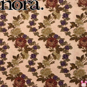 WK[hDKN̉ԁ@AT[sNn@V[`On@10cmPʁ@؂蔄@FR1179-A@m@NORA.@i221j@m݌Ɍn