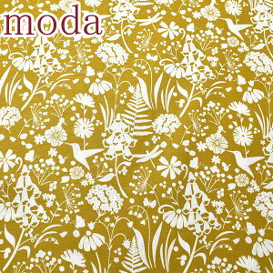 Moda@WILD MEADOW@ChEh[@ƕqn@12CG[n@10cmPʁ@؂蔄@_@43132@V[`On@(41)@m݌Ɍn