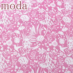Moda@WILD MEADOW@ChEh[@ƕqn@16sNn@10cmPʁ@؂蔄@_@43132@V[`On@(9)@m݌Ɍn