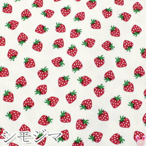 VW}@C`S@WzCgn@IbNXn@10cmPʁ@؂蔄@SHF-04@pps (401)@(20cmȏ)