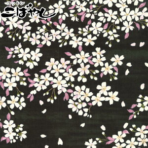 當l@EubNn@10cmPʁ@؂蔄@TUNXn@KTS6850@Rbg΂₵@(402)