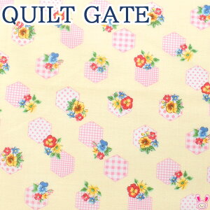 ԕƃt[@AAC{[n@LW2040-13@ LgQCg@V[`On@(277) (50cmȏ10cmPʐ؂蔄)@m݌Ɍn