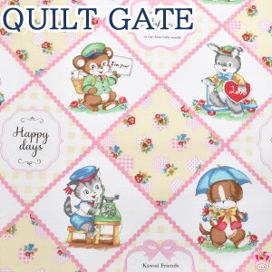 Aj}ƏԂ̃pb`[N@AAC{[n@LW2040-11@ LgQCg@V[`On@(227)(50cmȏ10cmPʐ؂蔄)@m݌Ɍn