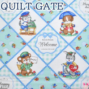 Aj}ƏԂ̃pb`[N@Cu[n@LW2040-11@ LgQCg@V[`On@(203) (50cmȏ10cmPʐ؂蔄)@m݌Ɍn