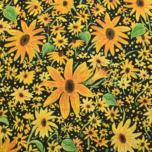 �_�`��̂Ђ܂��@10cm�P�ʁ@�؂蔄��@Moda�@���_�@51261�@�R�b�g�����n�@�m�݌Ɍ���n