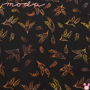 {t@CAEoeBbNX @16ubNn@10cmPʁ@؂蔄@Rbgn@4364-16@Moda@_@낤߁@(402) m݌ɌnySALEiz