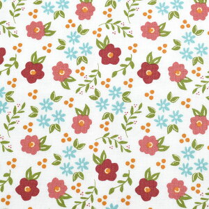 LȉԁX@10cmPʁ@؂蔄@Moda@_@37661@Rbgn@m݌Ɍn