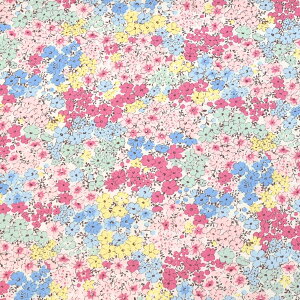 �p�X�e���J���[�̏��Ԕ��@�u���[�h���n�@KTS3414�@�R�b�g�����΂₵(50cm�ȏ�10cm�P�ʐ؂蔄��)