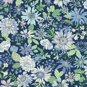 �N�₩�ȃt�����[�K�[�f���@�c�C�����n�@KTS7030�@�R�b�g�����΂₵(50cm�ȏ�10cm�P�ʐ؂蔄��)