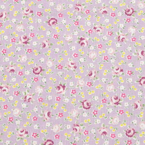 K[[ȃ~j[Y@XPAn@HM10552S@o@m݌Ɍn(50cmȏ10cmPʐ؂蔄)