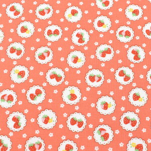 [XXgx[@Rbgn@HM10548@o@(50cmȏ10cmPʐ؂蔄)@m݌Ɍn