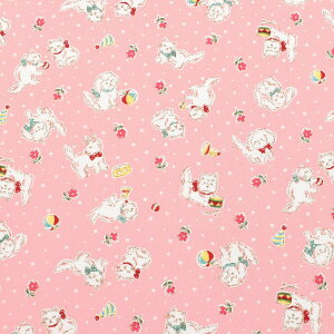 Aj}ƃhbg@Rbgn@HM10550@o@(50cmȏ10cmPʐ؂蔄)