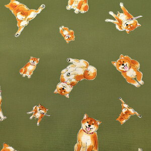 ̂тČ@IbNXn@AP42109-2@RX@m݌Ɍn(50cmȏ10cmPʐ؂蔄)