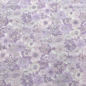 t[K[[@_uK[[n@AP42111@RX@(50cmȏ10cmPʐ؂蔄)