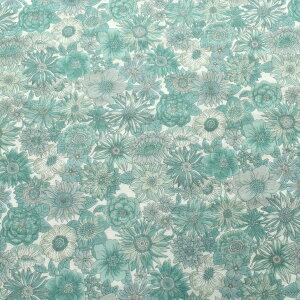 t[K[[@_uK[[n@AP42111@RX@(50cmȏ10cmPʐ؂蔄)