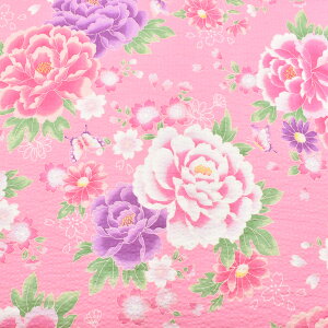 XC[gt[@bvn@MOWR-30@@ [݌Ɍ](50cmȏ10cmPʐ؂蔄)