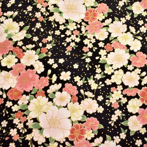 ̐@XuTen@AP42901-1@RX@(50cmȏ10cmPʐ؂蔄)@m݌Ɍn