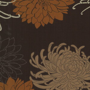 esؕl@TUNXn@ KTS7060@Rbg΂₵@(50cmȏ10cmPʐ؂蔄)@m݌Ɍn