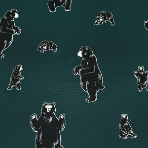 xA[IbNX@IbNXn@AP45110-1@RX@(50cmȏ10cmPʐ؂蔄)