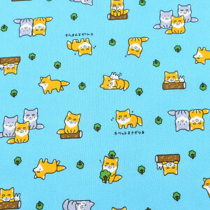 X̃`xbgXiMcl@V[`On@ AP51105-2@RX@(50cmȏ10cmPʐ؂蔄)