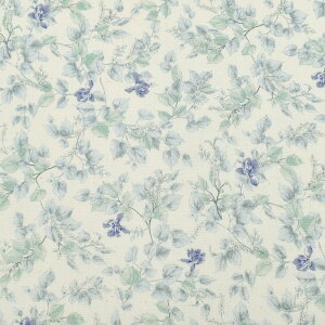 �O���[�X�t�����[�E�|�v���@�X�P�A���n�@B850480-1�@�o���@(50cm�ȏ�10cm�P�ʐ؂蔄��)�@�m�݌Ɍ���n