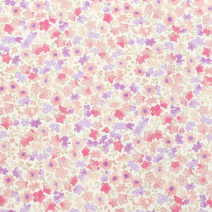 Ԃ̖@V[`On@SP-328-V0@Monti@prism@(50cmȏ10cmPʐ؂蔄)