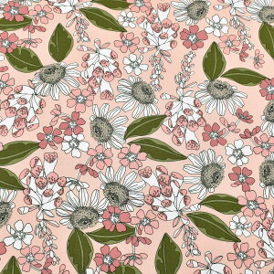 {^j[@Rbgn@11552@Moda@_@(50cmȏ10cmPʐ؂蔄)