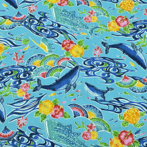 @u[hn@AP52109-2@RX@(50cmȏ10cmPʐ؂蔄)