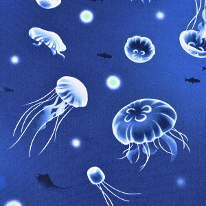 C̃NQ@IbNXn@ AP52102-2@RX@(50cmȏ10cmPʐ؂蔄)